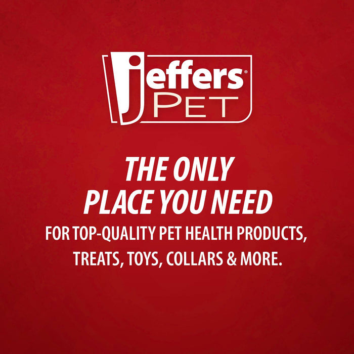 Jeffers Pet Dental Care Kit – Stainless Steel Scaler and Scraper Set for Dogs and Cats – Teeth Cleaning & Tartar Remover Tools - JIU5 - 4 Piece Pack - 6