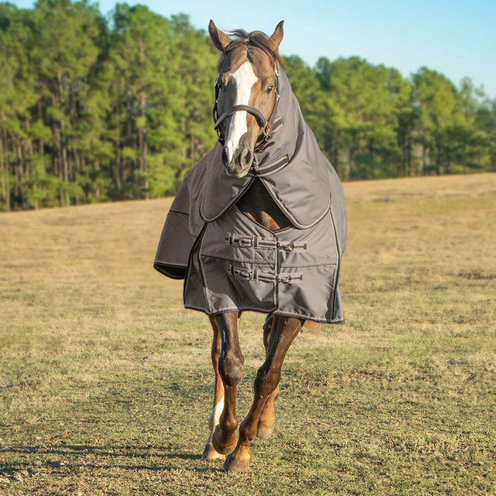 Jeffers Poplar Head "Defense" 1680 Denier Turnout Blanket with Detachable Neck, 240 Gram, Plymouth Brown - GAG1KU - 66 in - Plymouth Brown - 4