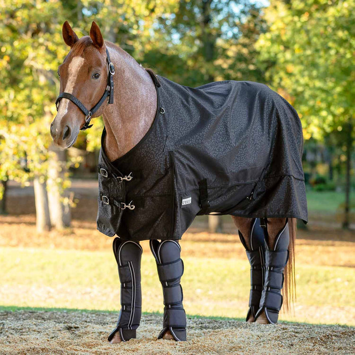 Jeffers Poplar Head Horse Shipping Boots, 4 - Pack with Carry Bag - GAG1TN - Black - Cob - 5