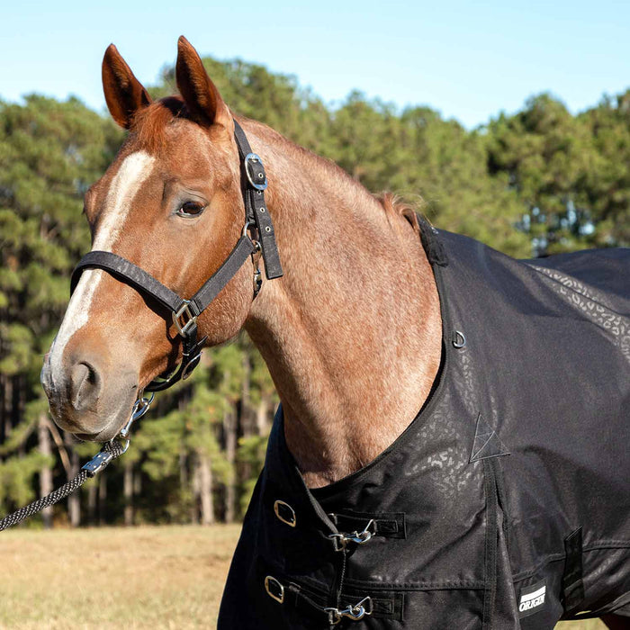 Jeffers Poplar Head "Origin" 600D Medium Weight Turnout Blanket, 240g | Waterproof & Breathable Horse Blanket - GAG1RU - Covert Cheetah - 66 in - 6