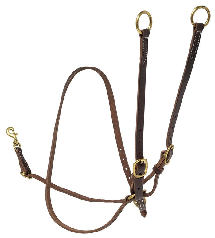 Jeffers Poplar Head Premium Oiled Harness Leather Training Martingale - 1211TF - Brown - 1