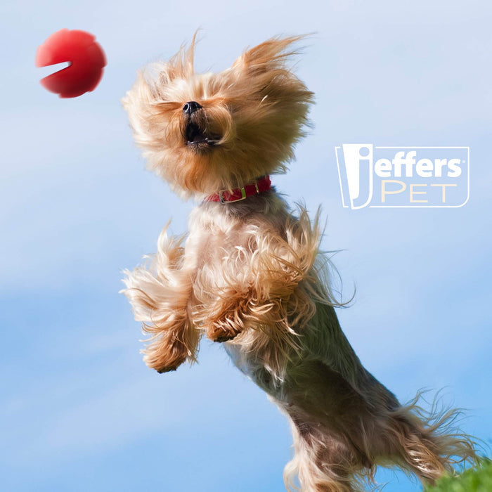 Jeffers Red Millipede Natural Rubber Treat Dispensing Dental Dog Chew Toy - I7RK - Red - Small - 1 - 7