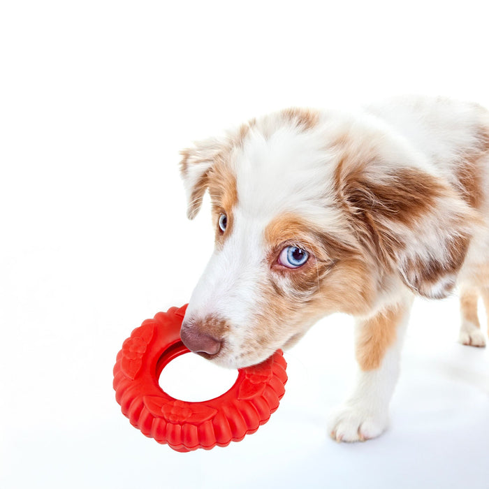 Jeffers Red Virgo Tugger Natural Rubber Dog Dental Chew Toy for Interactive or Solo Play - I7RX - Red - Small - 1 - 5