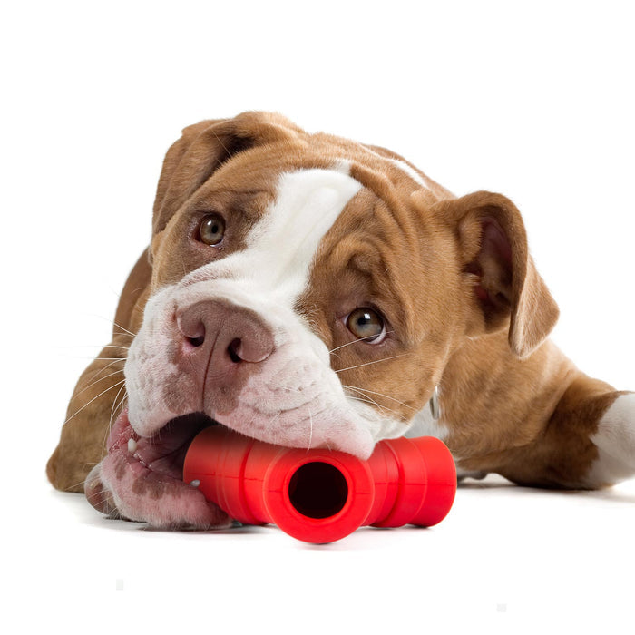 Jeffers Red "Y" Natural Rubber Dental Dog Chew Toy for Medium Chewers - I7QE - Red - Medium - 1 - 5