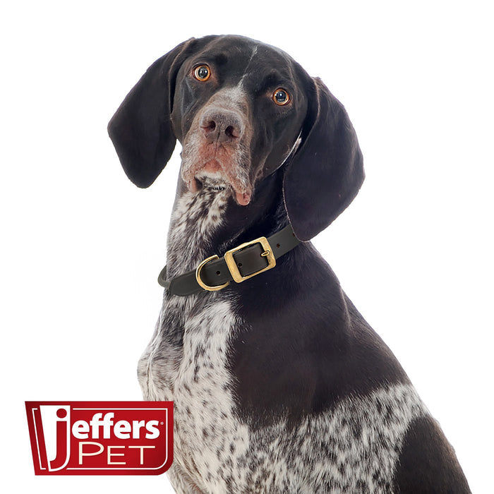Jeffers Rolled Leather Dog Collars with Brass Hardware - 8M1B - 5/8"W x 11"L - Chestnut - 2