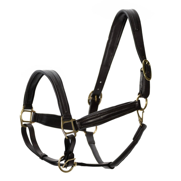 Jeffers Softie Padded Leather Halter for Horses - GAG1W5 - Havana - Cob - 2