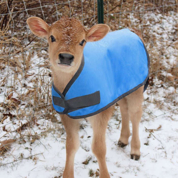 Jeffers Water - Resistant Insulated Calf Blanket, 200g Fill - I7EA - 1