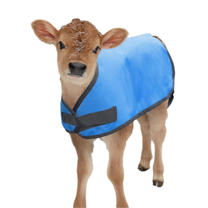 Jeffers Water - Resistant Insulated Calf Blanket, 200g Fill - I7EA - 2