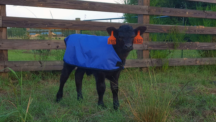 Jeffers Water - Resistant Insulated Calf Blanket, 200g Fill - I7EA - 4