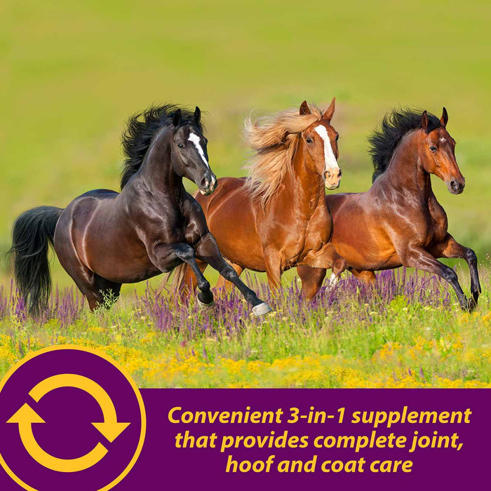 Joint Combo Hoof & Coat Supplement for Horses - FAJ9 - 8 lb (64 servings) - Cinnamon Apple - 3