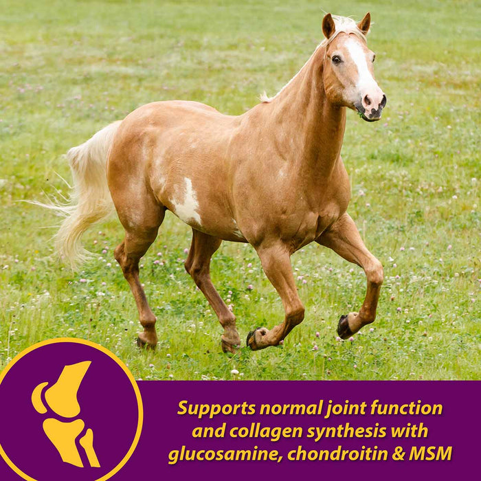 Joint Combo Hoof & Coat Supplement for Horses - FAJ9 - 8 lb (64 servings) - Cinnamon Apple - 4
