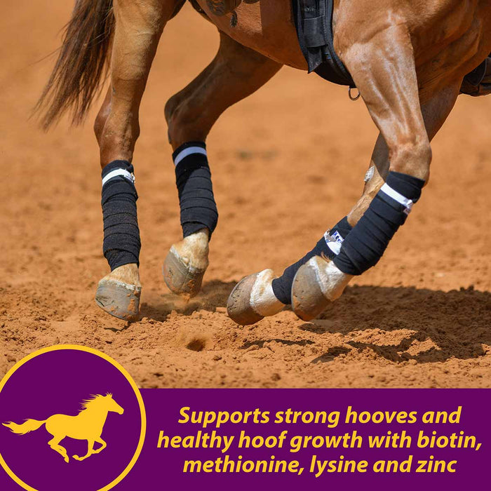 Joint Combo Hoof & Coat Supplement for Horses - FAJ9 - 8 lb (64 servings) - Cinnamon Apple - 6