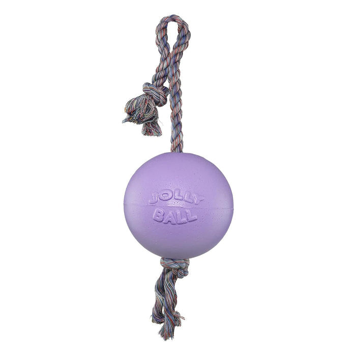 Jolly Pets Romp - n - Roll Ball – Tough Scented Dog Toy for Tug, Fetch & Water Play - H7XC - 6" - Light Purple - 8