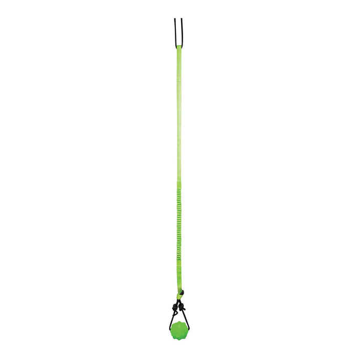 Jolly Pets Tree Tugger Interactive Bungee – Durable Tug - O - War & Solo Play Dog Toy for Heavy Chewers - H7W4 - Green/Black - 2