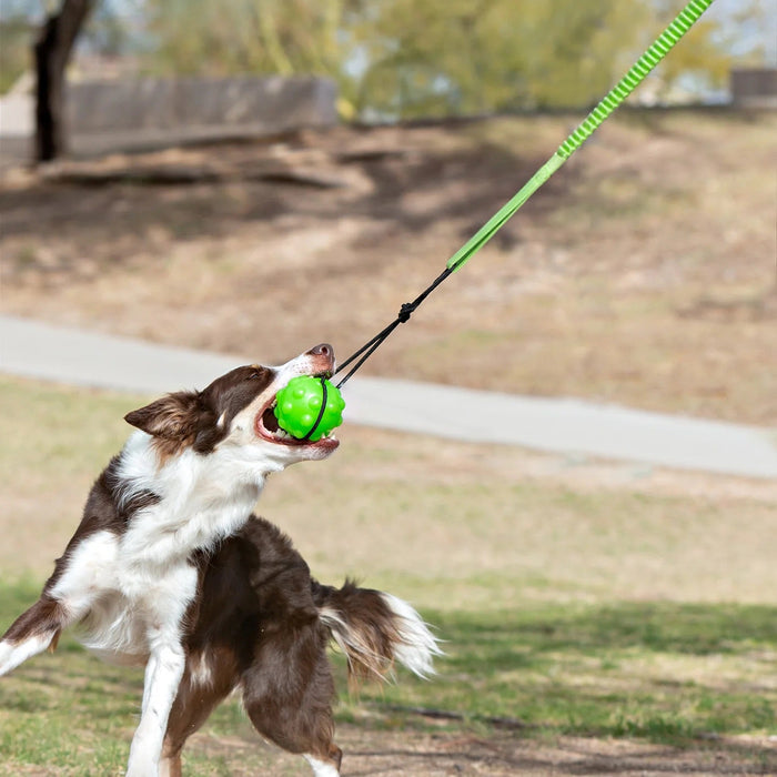 Jolly Pets Tree Tugger Interactive Bungee – Durable Tug-O-War & Solo Play Dog Toy for Heavy Chewers - H7W4 - Green/Black - 4