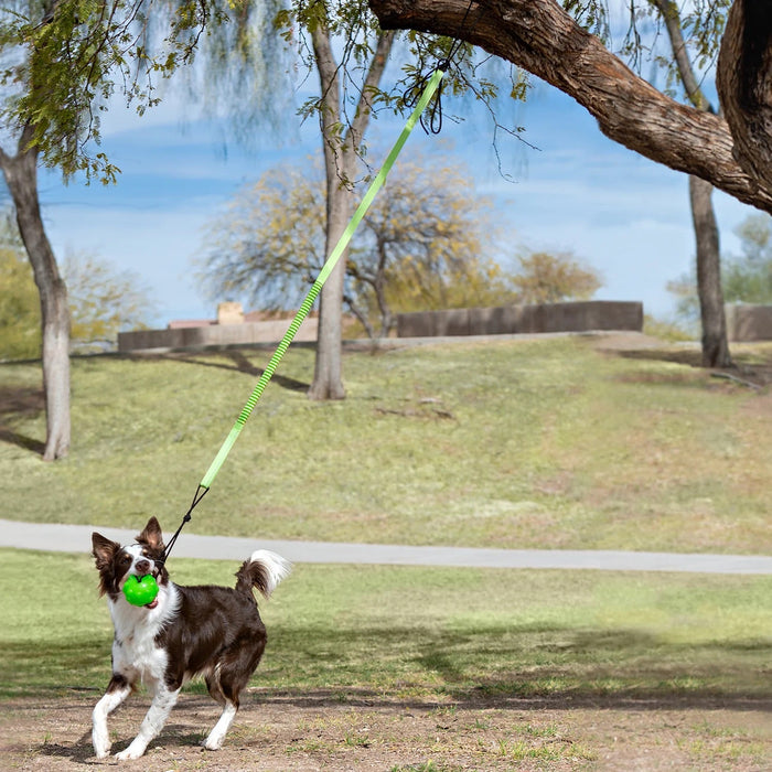 Jolly Pets Tree Tugger Interactive Bungee – Durable Tug-O-War & Solo Play Dog Toy for Heavy Chewers - H7W4 - Green/Black - 5