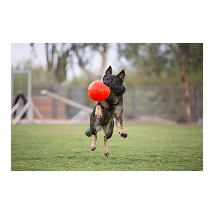 Jolly Soccer Ball for Dogs – Durable, Floating, Puncture - Resistant, Fetch Toy, Made in USA - H7UA - Orange - 3" Mini - Vanilla - 6
