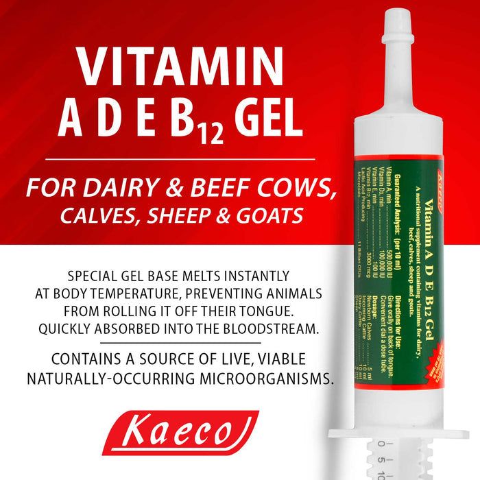 Kaeco Vitamin A, D, E & B12 Gel Supplement for Livestock - P9V2 - 80 mL Vitamin ADE & B12 Gel, (tube) - 2