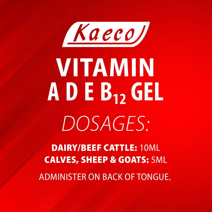 Kaeco Vitamin A, D, E & B12 Gel Supplement for Livestock - P9V2 - 80 mL Vitamin ADE & B12 Gel, (tube) - 3