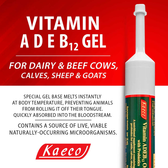 Kaeco Vitamin A, D, E & B12 Gel Supplement for Livestock - P9V3 - 300 mL Vitamin ADE & B12 Gel, (tube) - 5