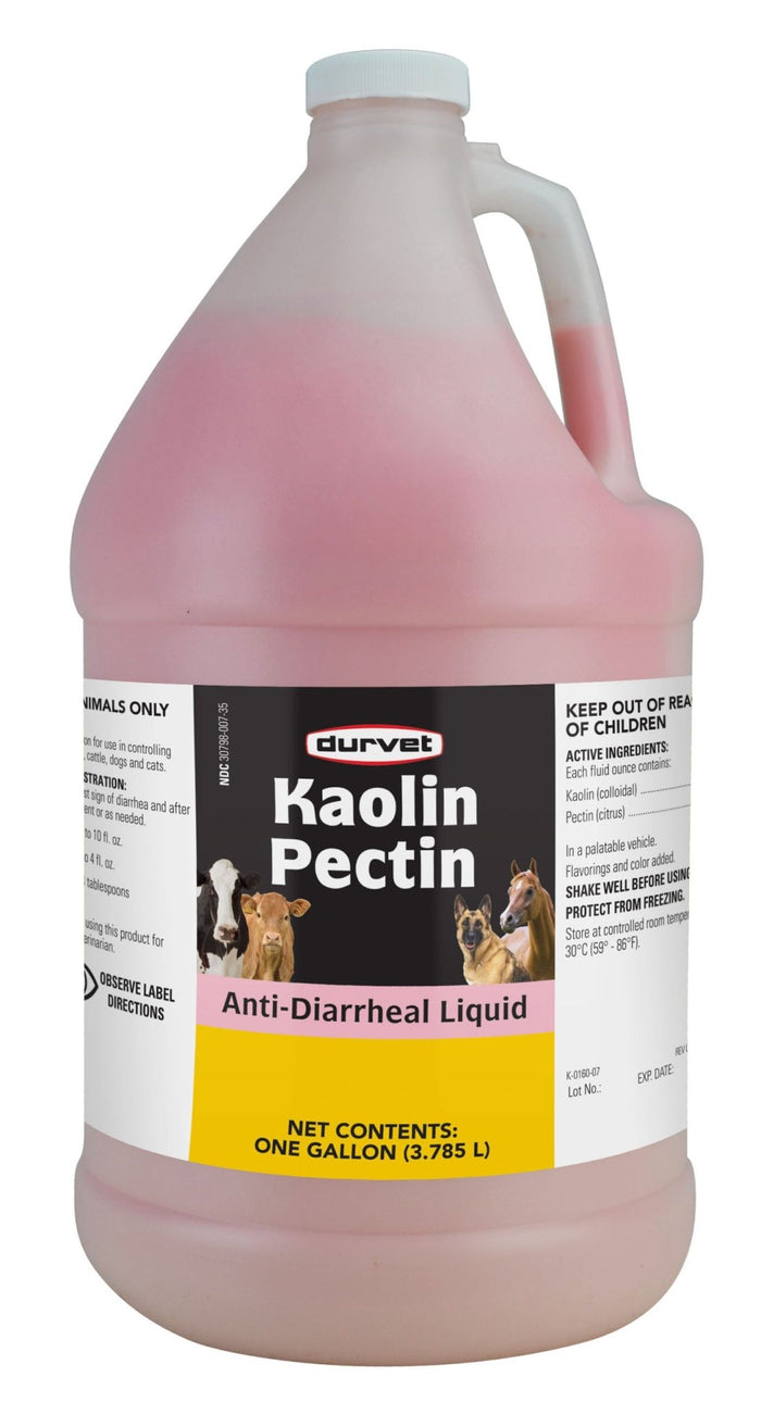 Kaolin Pectin Solution, Gallon - 7VV7 - Gallon - 1
