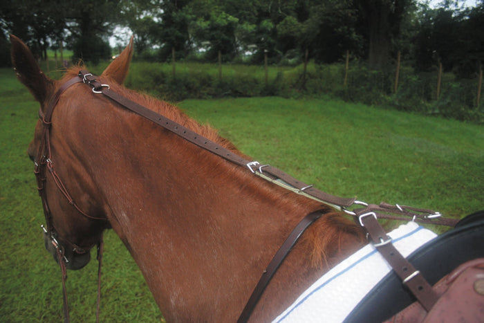 Kincade Anti - Grazing Strap for Horses - 0VKAN - Brown - 3