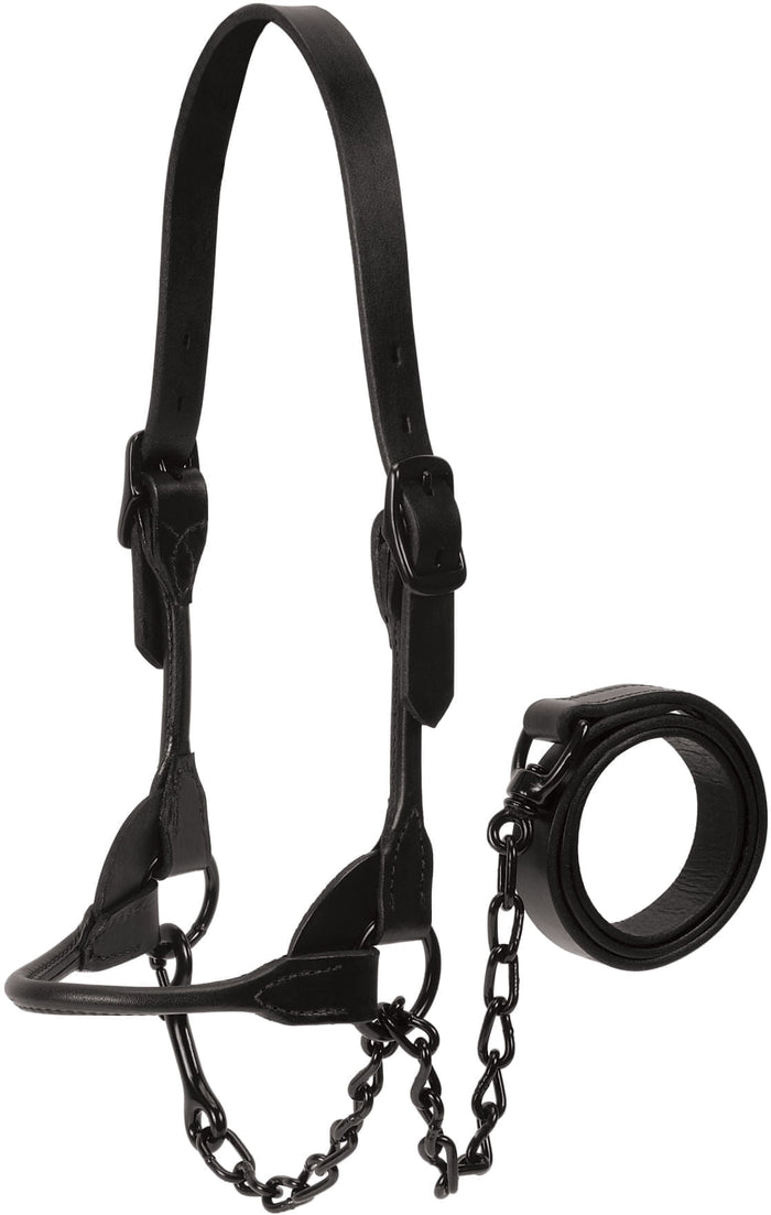 Kirk Stierwalt Black Magic Show Halter - WEAK0 - Small - 1