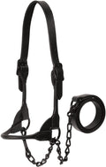 Kirk Stierwalt Black Magic Show Halter - WEAK0 - Small - 1