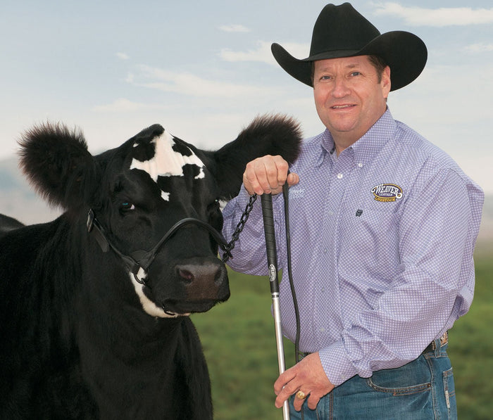 Kirk Stierwalt Black Magic Show Halter - WEAK0 - Small - 2