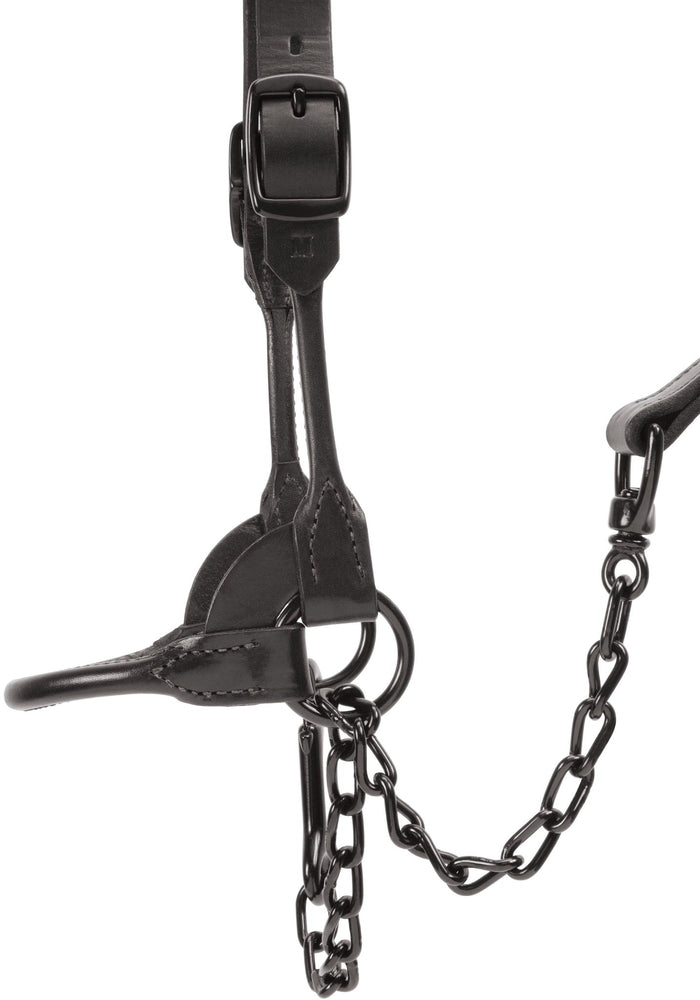 Kirk Stierwalt Black Magic Show Halter - WEAK0 - Small - 3