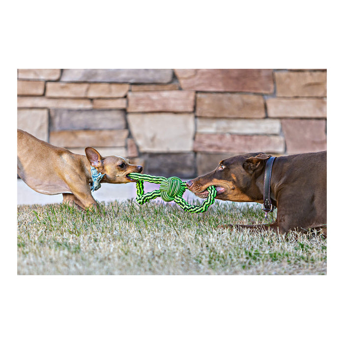 Knot - n - Chew Small/Medium, Gentle Tugger - H7W3 - Green/Black - Small/Medium - 2