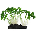 Komodo Sprouts - MR1D6 - 1
