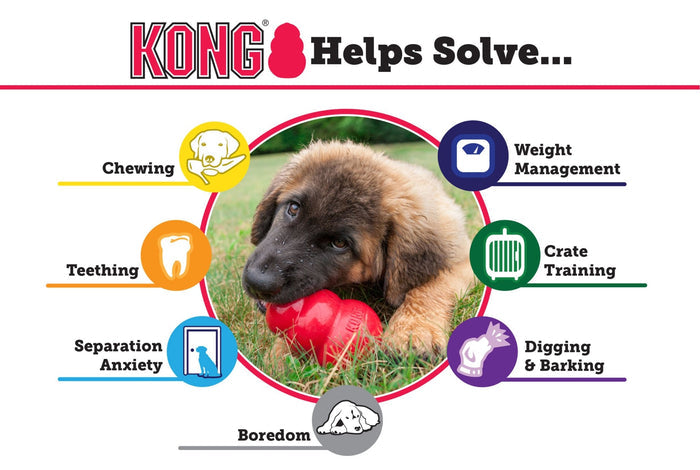 KONG Classic Dog Toy - K93F - XS Red Kong, 2.25" - Single - 4