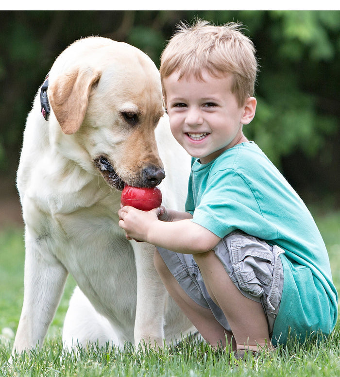 KONG Classic Dog Toy - K93F - XS Red Kong, 2.25" - Single - 6