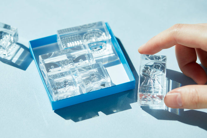 KORI JIRUSHI Clear Stamp | 6 Pc Set | Shine