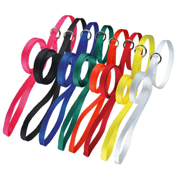 Lead Nylon Kennel Poly, Assorted, 20 pk, 4' x 1/2" - 020LB-13286 - Multi - 1