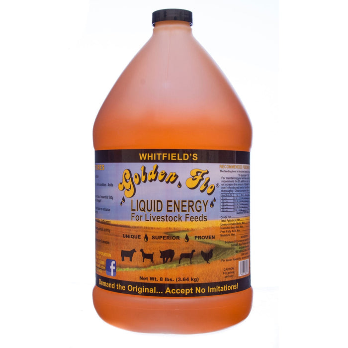 Livestock Golden Flo Liquid Energy, 1 Gallon - WAAC - 1