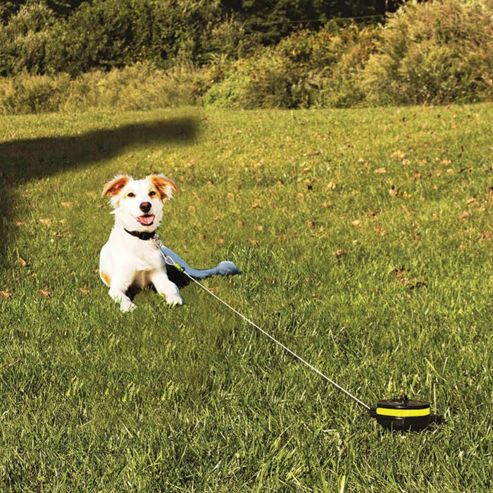 Lixit Retractable Cable Tie Out for Dogs - 024LXT-8400 - Small - 8