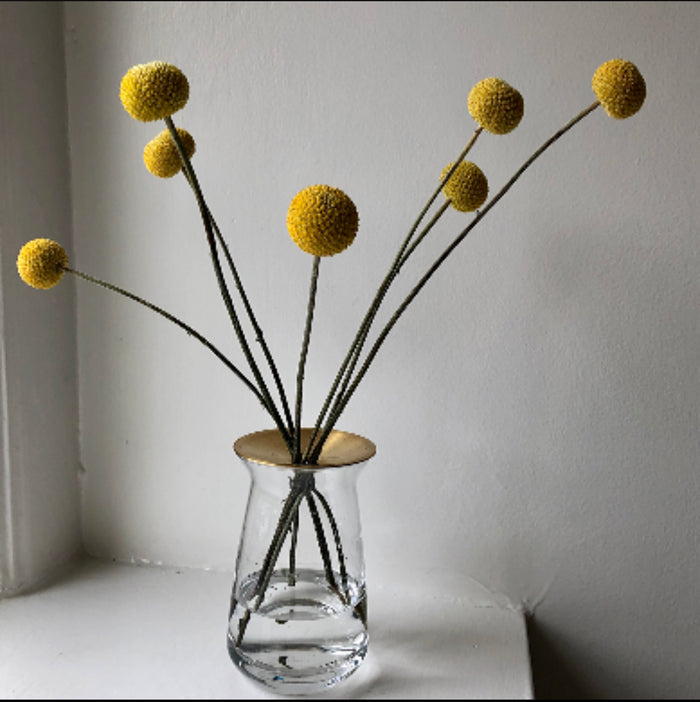 LUNA Vase | Large | Clear