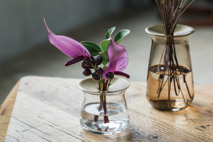 LUNA Vase | Small | Clear