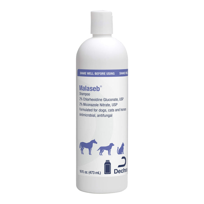 Malaseb Shampoo, 16 oz - 013DP-MALSHAP16 - 1