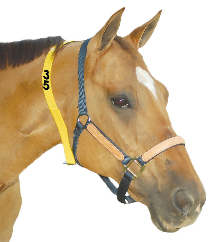 Mare ID Neck Strap - Numbered, Yellow - DAQH - Yellow - 9 - 3