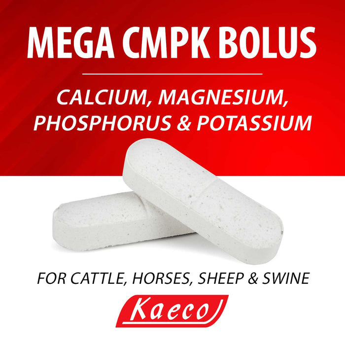Mega CMPK Bolus, 50 ct - KKMA - 4