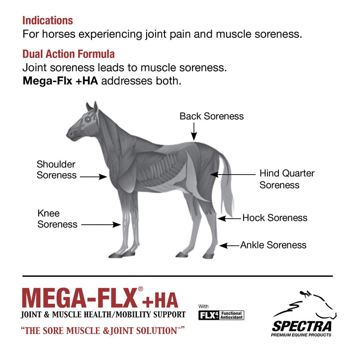 Mega - Flx +HA Equine Joint & Muscle Supplement - GQM4 - 32oz - 5