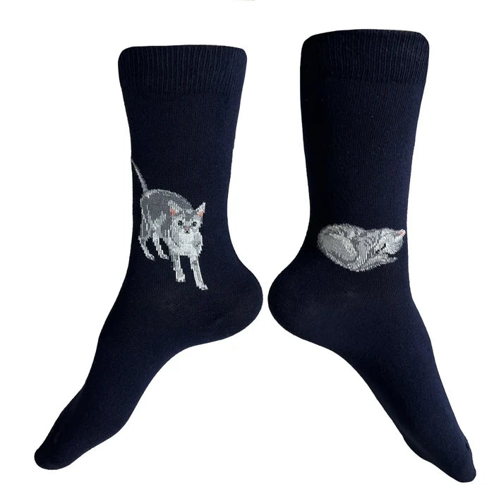 Meow Socks - Navy