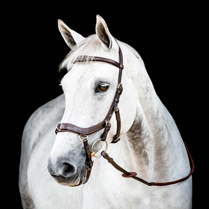 Micklem 2.0 Multi Bridle for Horses – Adjustable Bit Straps, Padded Leather, Pressure - Relief Design - FO50G - Dark Havana - Full - 1