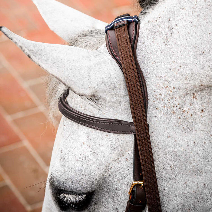 Micklem 2.0 Multi Bridle for Horses – Adjustable Bit Straps, Padded Leather, Pressure - Relief Design - FO50G - Dark Havana - Full - 2