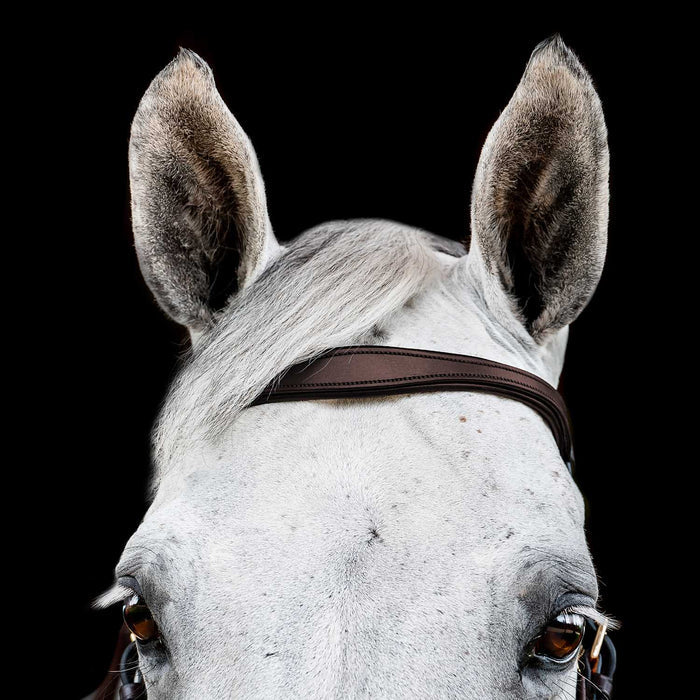 Micklem 2.0 Multi Bridle for Horses – Adjustable Bit Straps, Padded Leather, Pressure - Relief Design - FO50G - Dark Havana - Full - 4