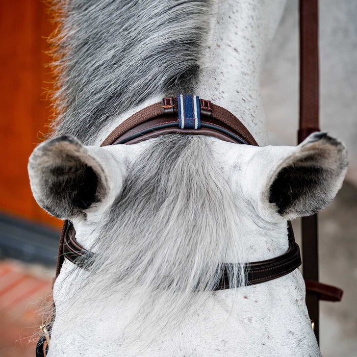 Micklem 2.0 Multi Bridle for Horses – Adjustable Bit Straps, Padded Leather, Pressure - Relief Design - FO50G - Dark Havana - Full - 5