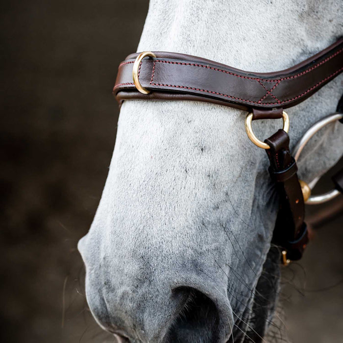 Micklem 2.0 Multi Bridle for Horses – Adjustable Bit Straps, Padded Leather, Pressure - Relief Design - FO50G - Dark Havana - Full - 6